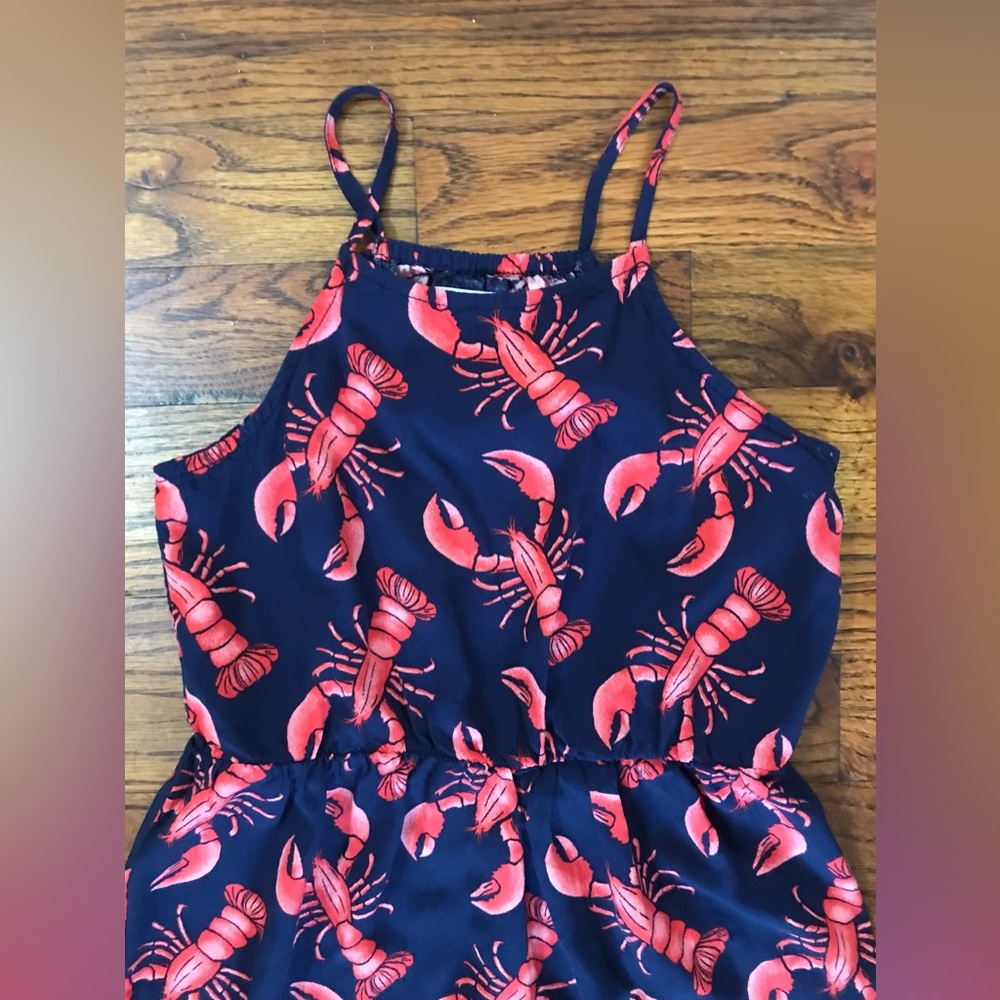Girls Old Navy Crawfish Themed Dress NWOT
Waist Spaghetti Straps 
Small … - Picture 4 of 9